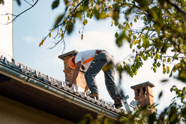 Best Flat Roof Repair Services  in Bartonvle, IL