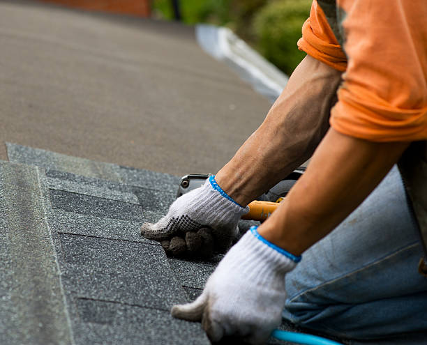 Best Shingle Roofing Installation  in Bartonvle, IL